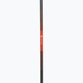 Žygio lazdos Black Diamond Pursuit Carbon Z octane 4