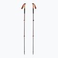 Žygio lazdos Black Diamond Trail Cork Trekking fig