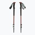 Žygio lazdos Black Diamond Trail Trekking iron red 5