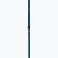Žygio lazdos Black Diamond Distance Carbon Flz desert sky 4