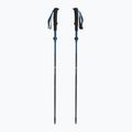 Žygio lazdos Black Diamond Distance Carbon Flz desert sky 5