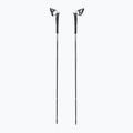 Žygio lazdos Black Diamond Distance Carbon FKT black