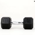 TREXO Hex HXD100 gumuoti hanteliai 10 kg 9