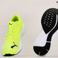 PUMA Aviator Profoam Sky 12 green 376615 16 bėgimo bateliai 14