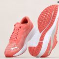 PUMA Aviator Profoam Sky 12 bėgimo bateliai rožinės spalvos 376615 12 15
