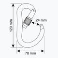 Karabinas CAMP Atom Lock gun metal 3