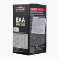 EAA Gymline Kyowa Enervit 10 paketėlių citrina 90917 2