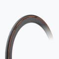 Dviračio padanga Pirelli P Zero Race TLR Classic black/brown