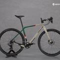 Žvyrkelis Cipollini AGO O60FI SGRS23 beige-green M0012MC123AGO_DB O60FI 7