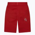 Vyriški La Sportiva Esquirol alpinistiniai šortai raudoni N78313313 2