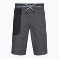 Vyriški La Sportiva Ecstatic pilki šortai laipiojimui N64900999