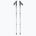 Masters Pole Summit Light green 01S4519 trekingo lazdos