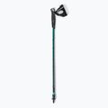 Masters Pole Training šiaurietiškojo ėjimo lazdos juodos 01N0620 6