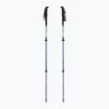 Žygio lazdos lazdos GABEL Mont Blanc 4.0 mint