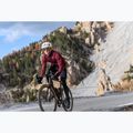 Vyriški plento batai Northwave Celsius R GTX black 4