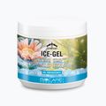 Veredus ledo gelis arkliams 500 ml COG05