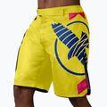 Treniruočių šortai Hayabusa Icon Fight yellow/blue