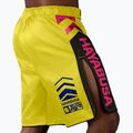Treniruočių šortai Hayabusa Icon Fight yellow/blue 4