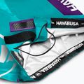 Treniruočių šortai Hayabusa Icon Fight teal/white 6