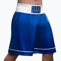 Treniruočių šortai Hayabusa Pro Boxing blue 2
