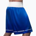 Treniruočių šortai Hayabusa Pro Boxing blue 3