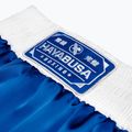 Treniruočių šortai Hayabusa Pro Boxing blue 5