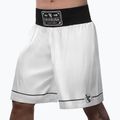 Treniruočių šortai Hayabusa Pro Boxing white