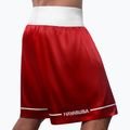 Treniruočių šortai Hayabusa Pro Boxing red 3