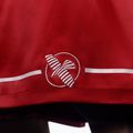 Treniruočių šortai Hayabusa Pro Boxing red 4