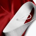 Treniruočių šortai Hayabusa Pro Boxing red 6