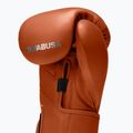Bokso pirštinės Hayabusa T3 Kanpeki clay orange 4