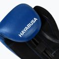 Bokso pirštinės Hayabusa E1 Boxing blue/black 8