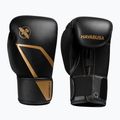 Bokso pirštinės Hayabusa E1 Boxing black/gold