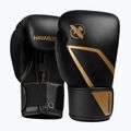 Bokso pirštinės Hayabusa E1 Boxing black/gold 2