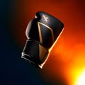 Bokso pirštinės Hayabusa E1 Boxing black/gold 8