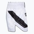 Vyriški treniruočių šortai Hayabusa Core Fight white 3