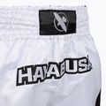 Vyriški treniruočių šortai Hayabusa Core Fight white 4