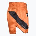 Vyriški treniruočių šortai Hayabusa Core Fight orange 3