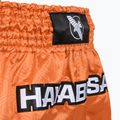 Vyriški treniruočių šortai Hayabusa Core Fight orange 4