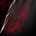 Vyriški treniruočių šortai Hayabusa X UFC BJJ Grappling red 4