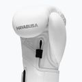 Bokso pirštinės Hayabusa T3 Kanpeki arctic white 4