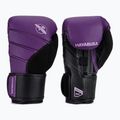 Bokso pirštinės Hayabusa T3 purple/black