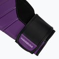 Bokso pirštinės Hayabusa T3 purple/black 6