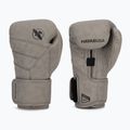 Bokso pirštinės Hayabusa T3 LX slate