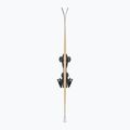 Kalnų slidės Nordica Doberman Multipista DC + įkabinimai TPX 13 FDT blue/white 3