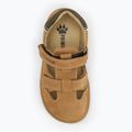 Vaikiški sandalai Primigi PWN 79073 dark tan 5