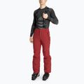 Vyriškos slidinėjimo kelnės CMP 3W17397N chili
