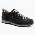 Vyriški Dolomite 54 Low Fg Gtx trekingo batai black 247959 0119