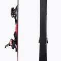 Nordica DOBERMANN SPITFIRE 80 RB + XCELL 12 FDT kalnų slidės juoda/raudona 0A1236LB 001 5