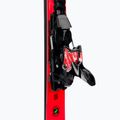 Nordica DOBERMANN SPITFIRE 72 RB + XCELL 12 FDT kalnų slidės 0A1240LB 001 7